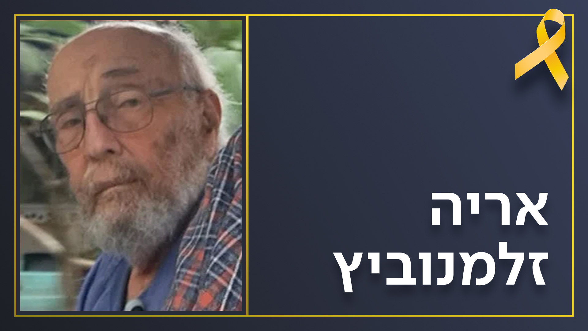 אריה זלמנוביץ