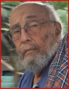 אריה זלמנוביץ