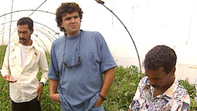 כח אדם. 1994