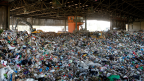  פסולת בחירייה, 2012