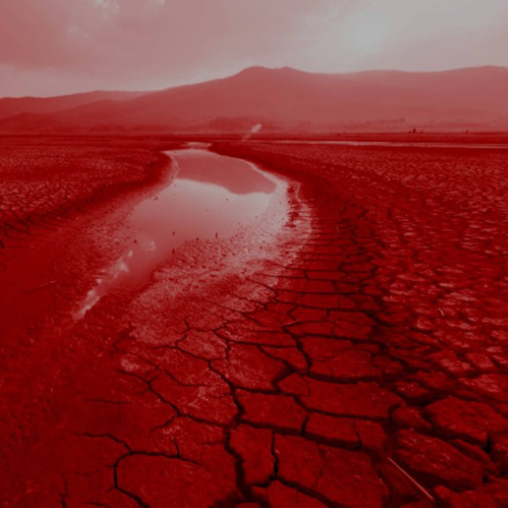 בצורת ריבוע