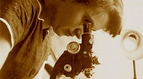 רוזלינד פרנקלין