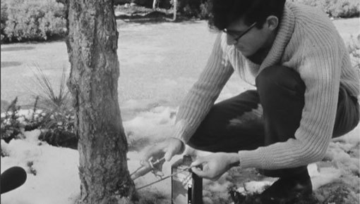 עץ מקבל זריקה. 1969