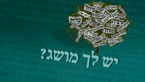 יש לך מושג? | פתיח