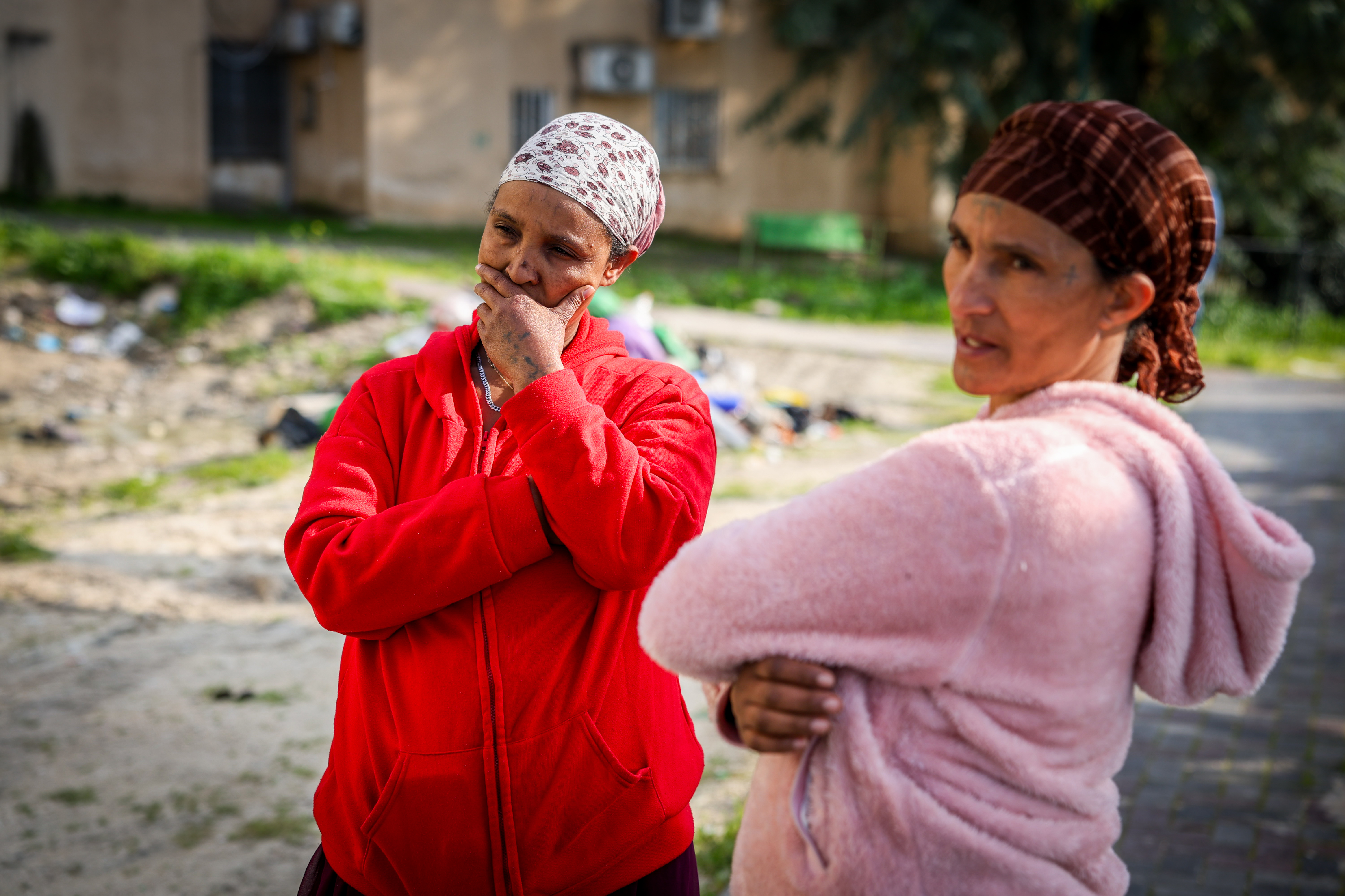 דוד כהן, פלאש90