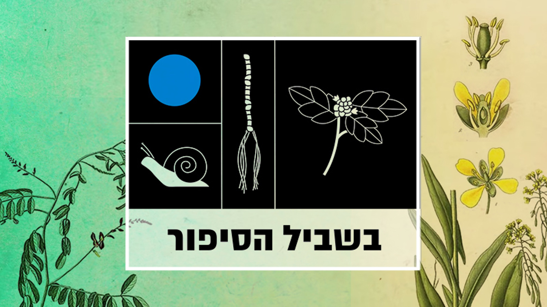 בשביל הסיפור