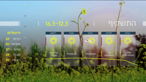 התחזית 11.03.25