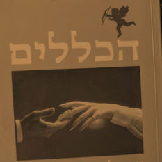הכללים