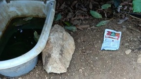 הרעלה בצפון, 06.10.23