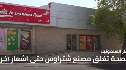 نشرة