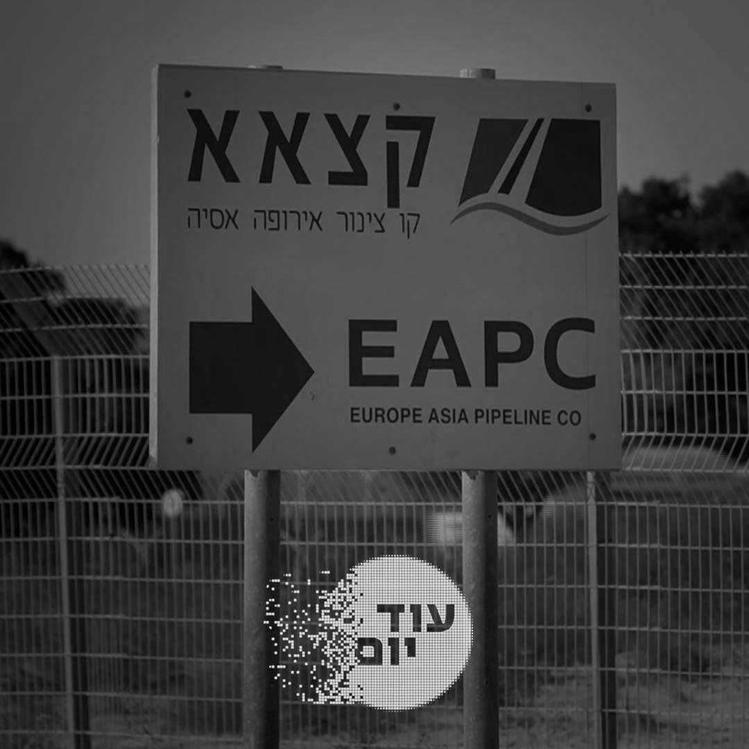 קצא"א.עיבוד תמונה: עמי שרייבמן cat25378_img123480290.jpg