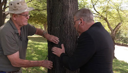 רובי המרשלג ועודד יפה. 2022