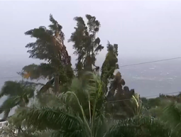 "צפוי להיות קטסטרופלי": בג'מייקה מתכוננים להוריקן "מליסה".כאן חדשות "צפוי להיות קטסטרופלי": בג'מייקה מתכוננים להוריקן "מליסה"