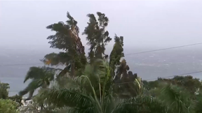 "צפוי להיות קטסטרופלי": בג'מייקה מתכוננים להוריקן "מליסה".כאן חדשות "צפוי להיות קטסטרופלי": בג'מייקה מתכוננים להוריקן "מליסה"