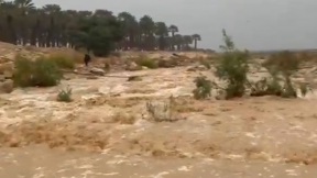 נחל ערוגות
