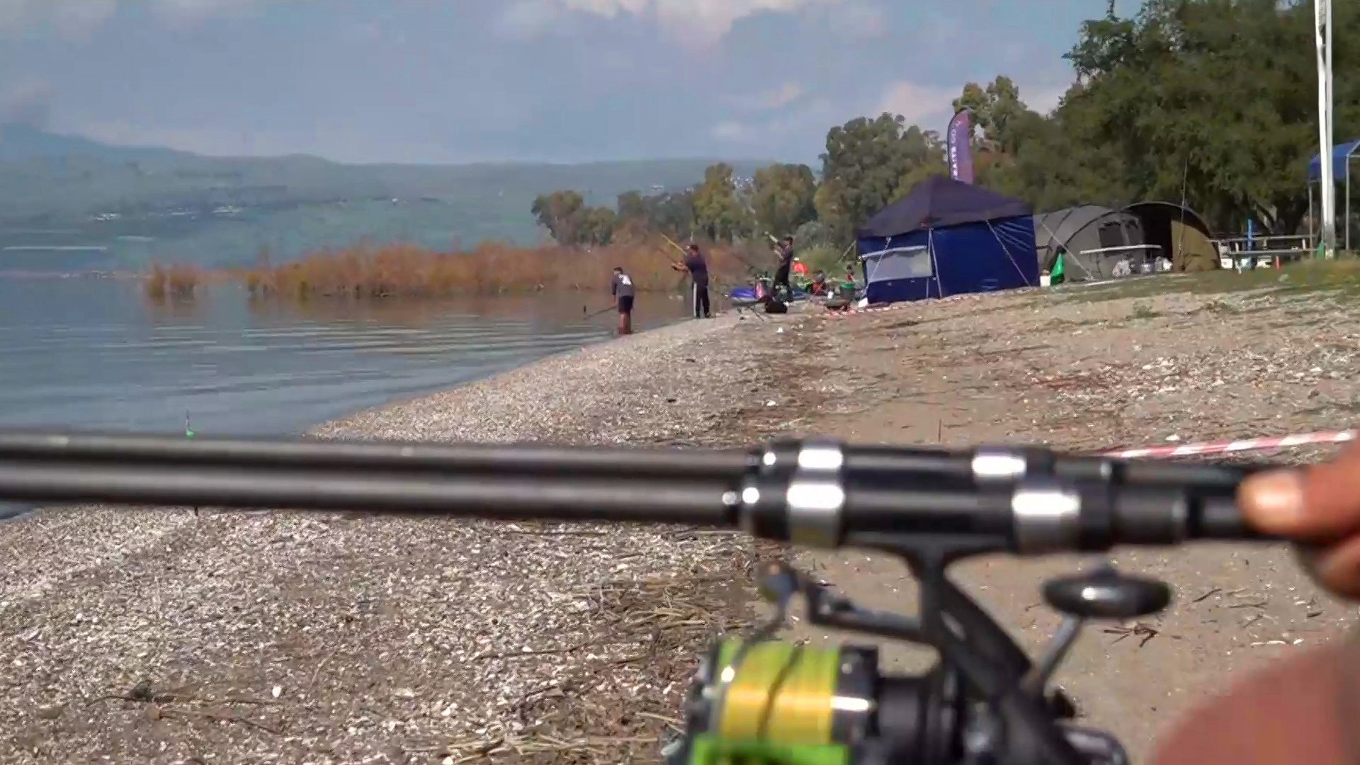 המלחמה על ההרעלות