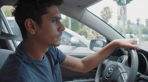 החיים ע"פ אופיר 