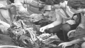 נפילת מטוס סורי על נהריה