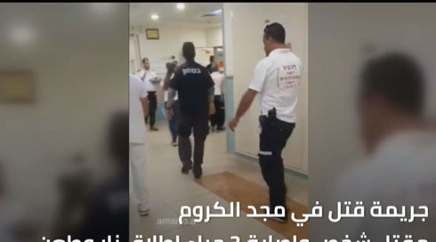 النشرة المسائية