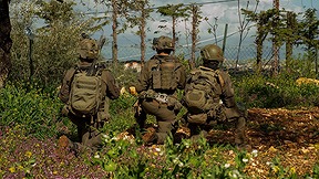 כוחות צה"ל בדרום לבנון