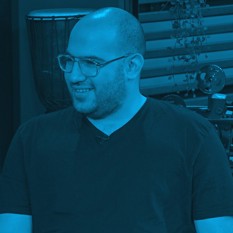 רון ביטון