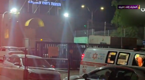 جريمة قتل النشرة