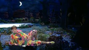 אדם ב"פלאי קלעים". 9.7.1995