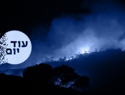 השריפה בכרמל 2010