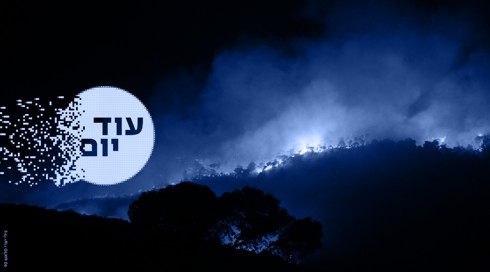 שריפה בכרמל מלבני 010126