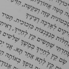 טקסט