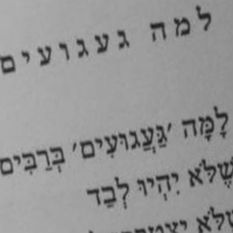 טקסט