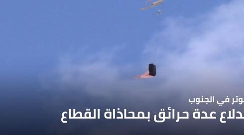 النشرة