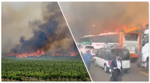 שוב: שריפה ביער אשתאול; תושבים מפונים מהאזור