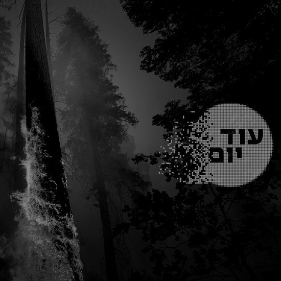 שריפות.צילום: איי-פי. עיצוב תמונה: עמי שרייבמן cat24853_img524046444.jpg
