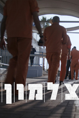 צלמון