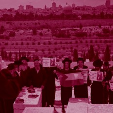 דה האן