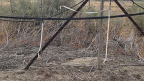אזור ממנו הסתננו מהגרי עבודה לישראל