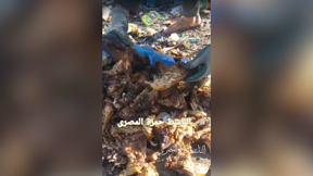 צילום מסך מתוך תיעוד המזון שהושלך ברצועה