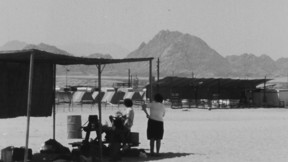 עמוס ארבל | כאן ארכיון