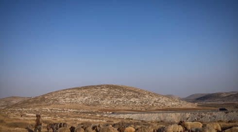 לראשונה ביו"ש: אדמות מדינה יוקצו לטובת "מרעה" לגורמים פרטיים
