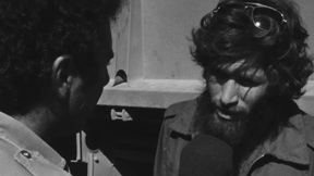 משאל חיילים על הפסקת האש