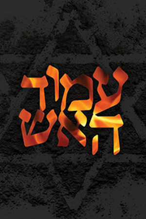 Poster Image Small 239X360 עמוד האש