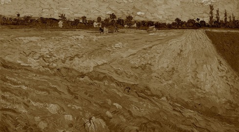 שדה חיטה של ואן גוך