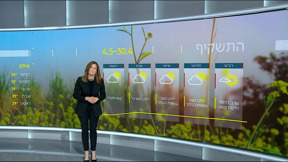 התחזית 29.04.25