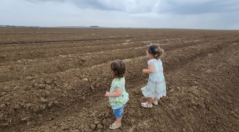 משפחת תיבון