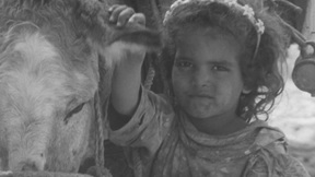 חיי התושבים בגדה המערבית של התעלה