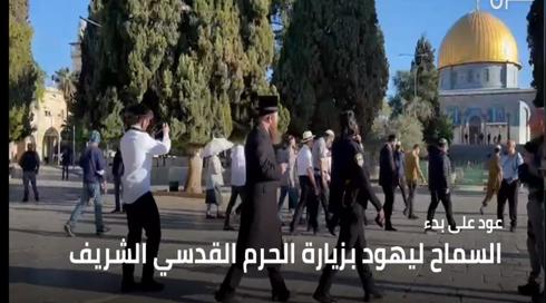 النشرة 