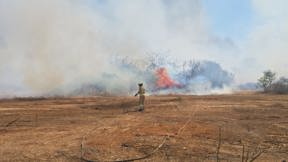 שריפה ליד כביש 44