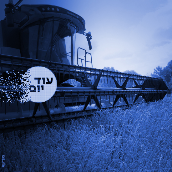 תבואה.רויטרס Squer 550 Blue (11)