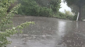 איפה החורף? שיאי חום בנובמבר - והגשם לא נראה באופק